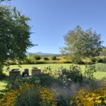 Ausblick in einen Garten mit Bergblick und vielen Pflanzen