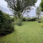 Der Garten eines Baugrundstücks