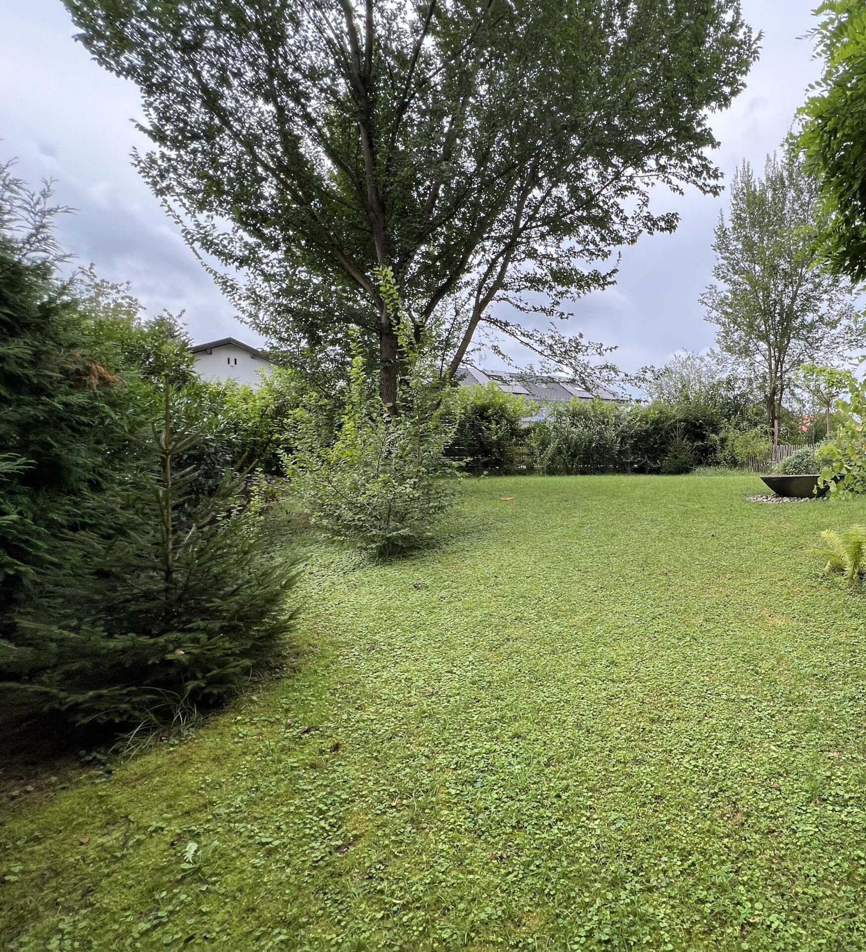 Der Garten eines Baugrundstücks