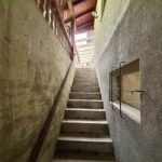 image00005 1